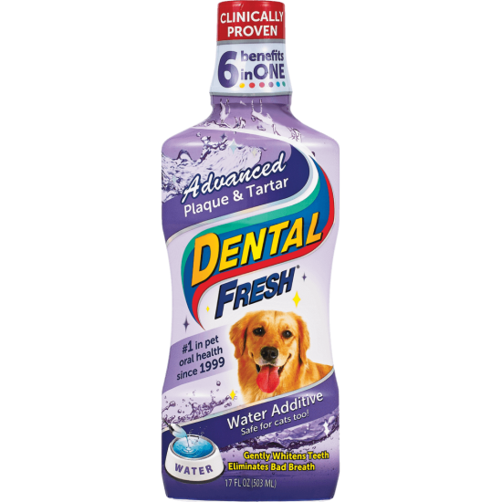 Dental Fresh ADVANCED PLAQUE & TARTAR -503ml